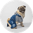 Pet supplies